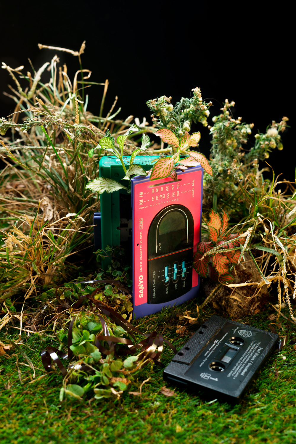 Vintage cassette player and unspooled cassette tape nestled in grass and weeds