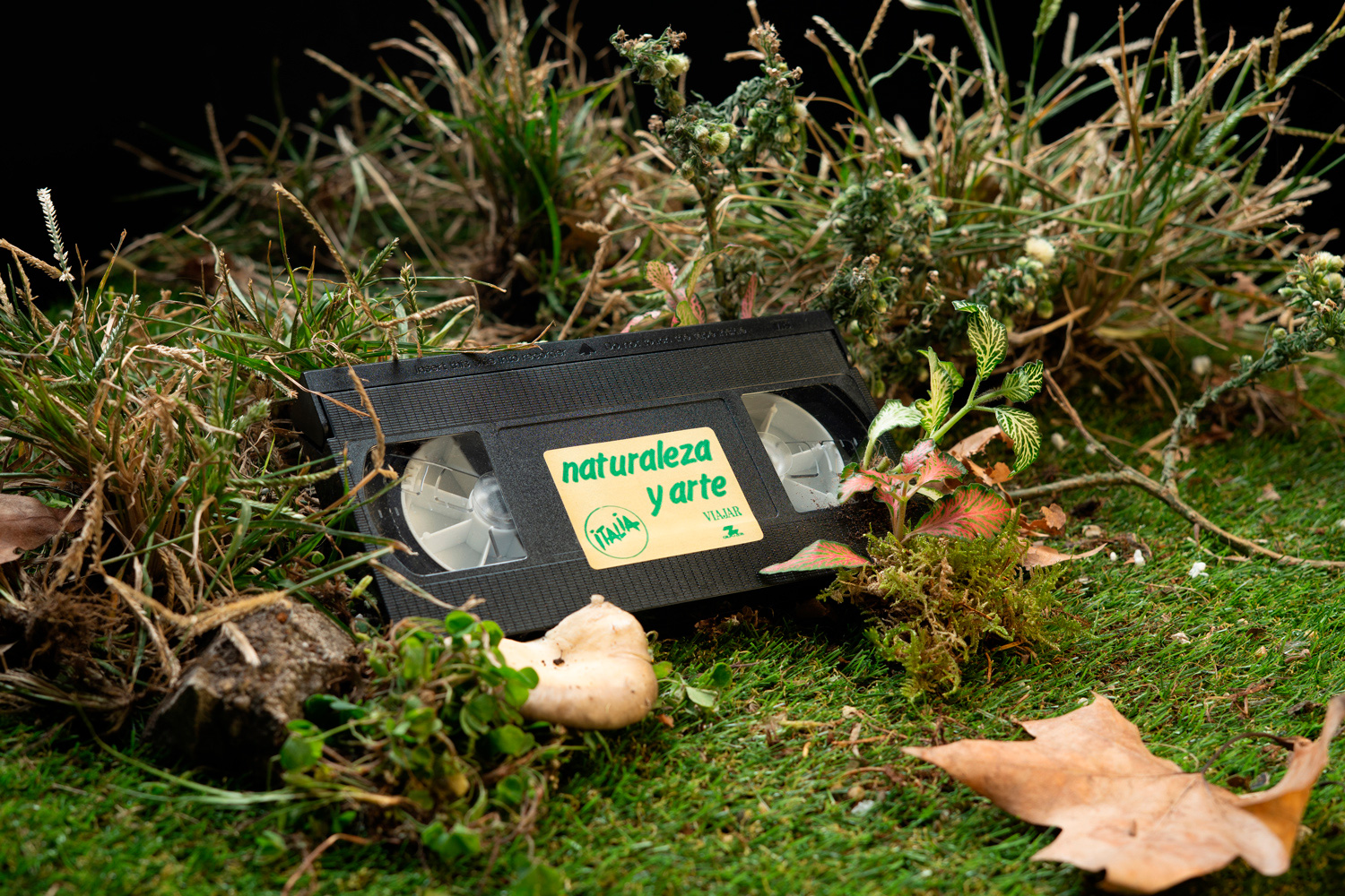 VHS tape labeled 'naturaleza y arte' resting in grass among weeds and a mushroom